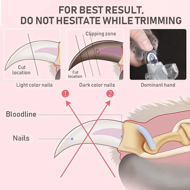 stress free dog nail clipping routine with handheld tool