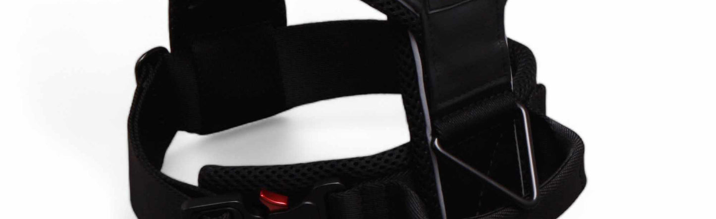 Sport dog harness with high visibility reflective safety stripes