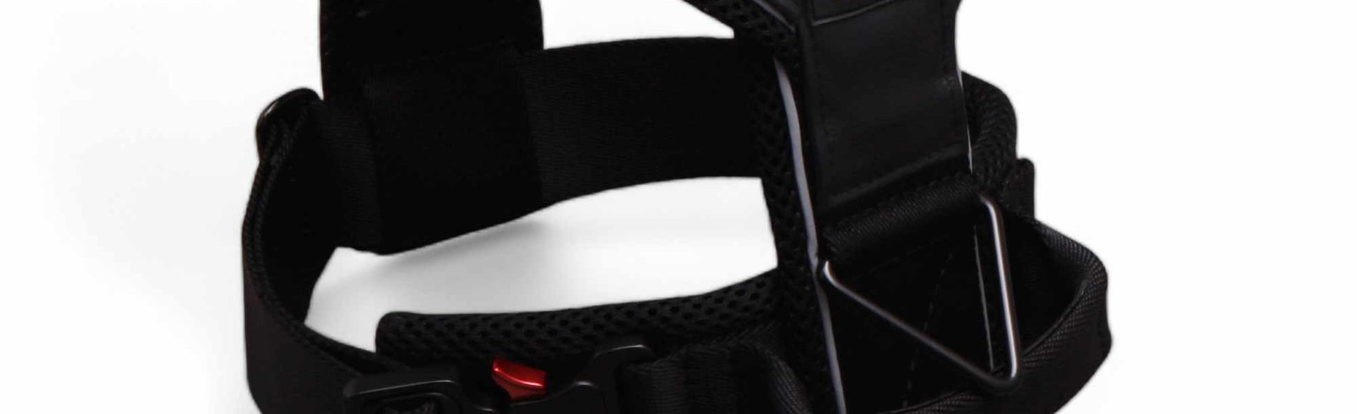 Sport dog harness with high visibility reflective safety stripes