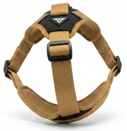 reflective striping detailing on high visibility tactical dog harness for night walks