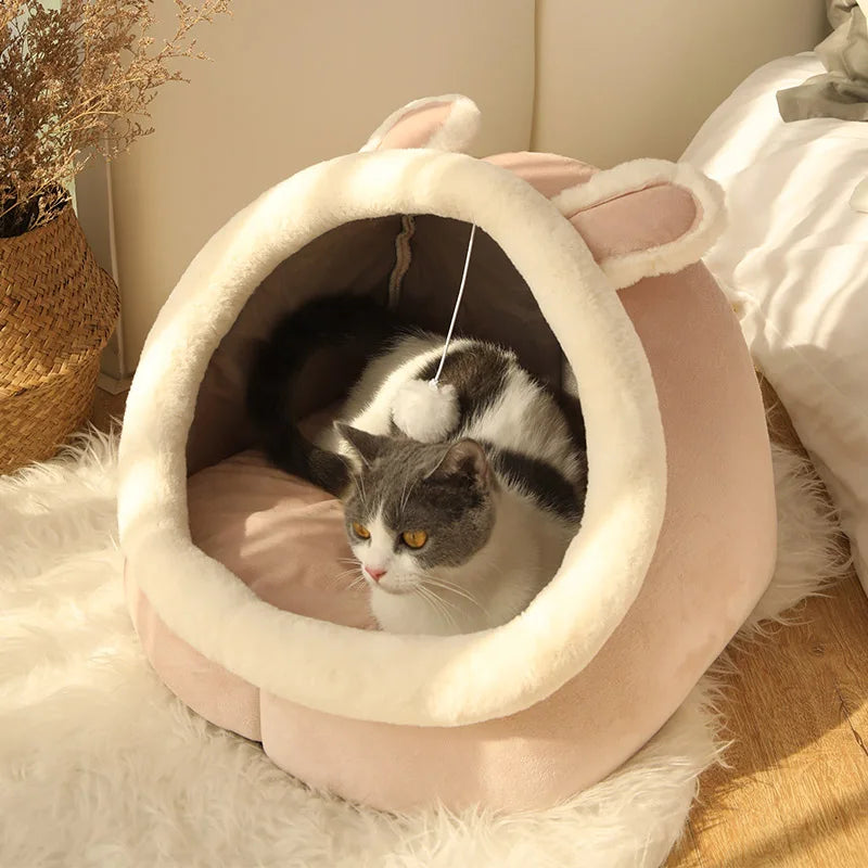 small dog resting inside cartoon pet bed