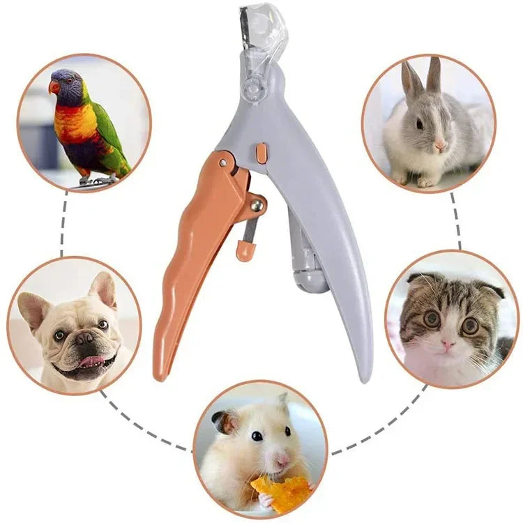 clean clipping cut preview on dog claw with trimmer